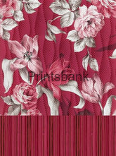 Wholesale Cambric Dress Material Top & Bottom Set